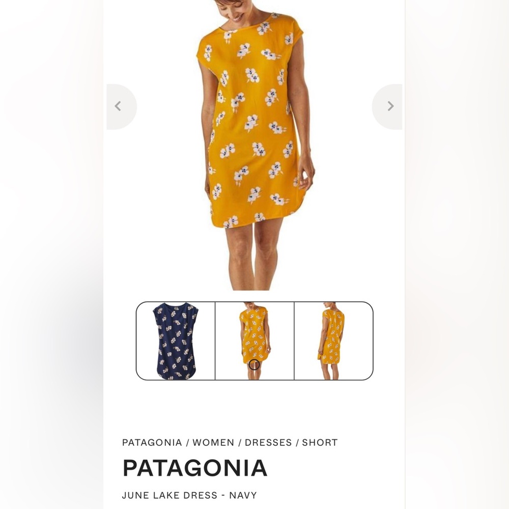 Patagonia June Lake Dress